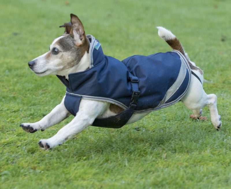 Bucas Freedom Hundedekken 300 Gram