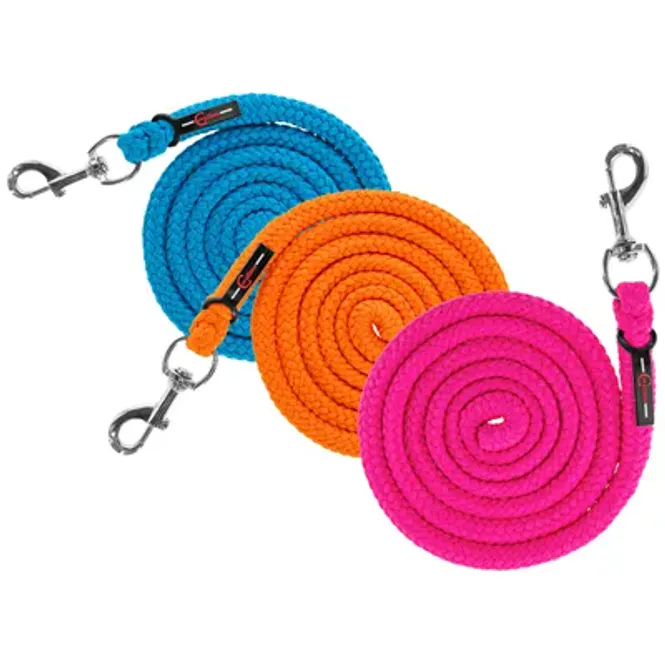 Hovedbilde Leietau Hippo