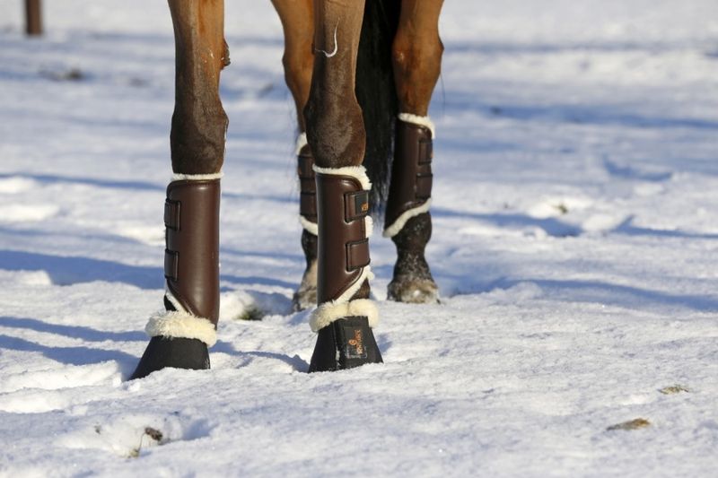 Kentucky Turnout Boots Leather