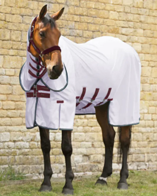 Hovedbilde Premier Equine Combo Bug Buster 