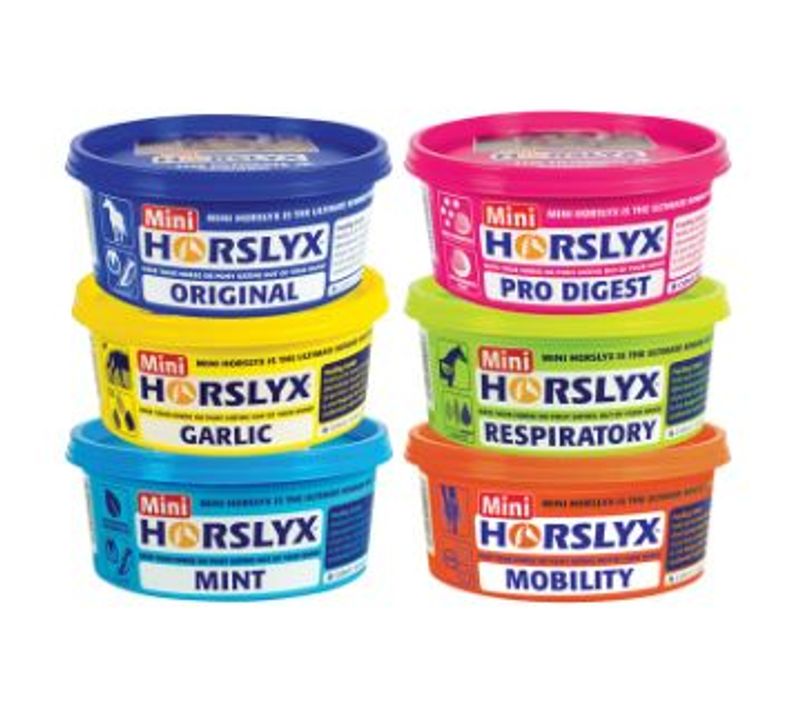 Horslyx Slikkesten