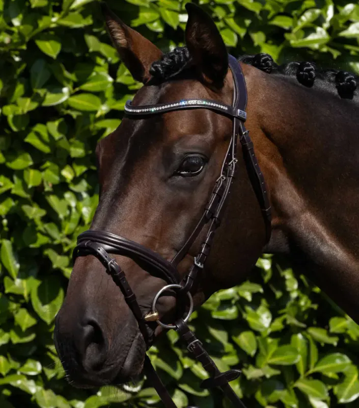 Premier Equine, Rivere Hodelag