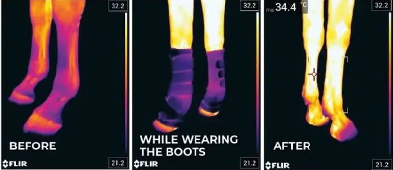 Kentucky Magnetic Stable Boots Recuptex