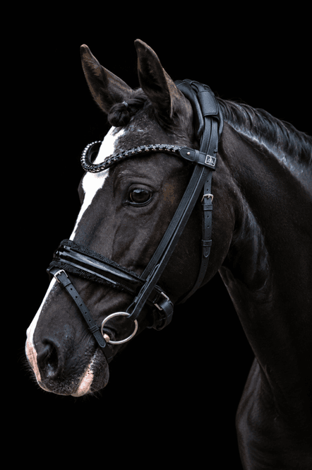 Hovedbilde SD Design Black Rolled Diamant Hodelag 