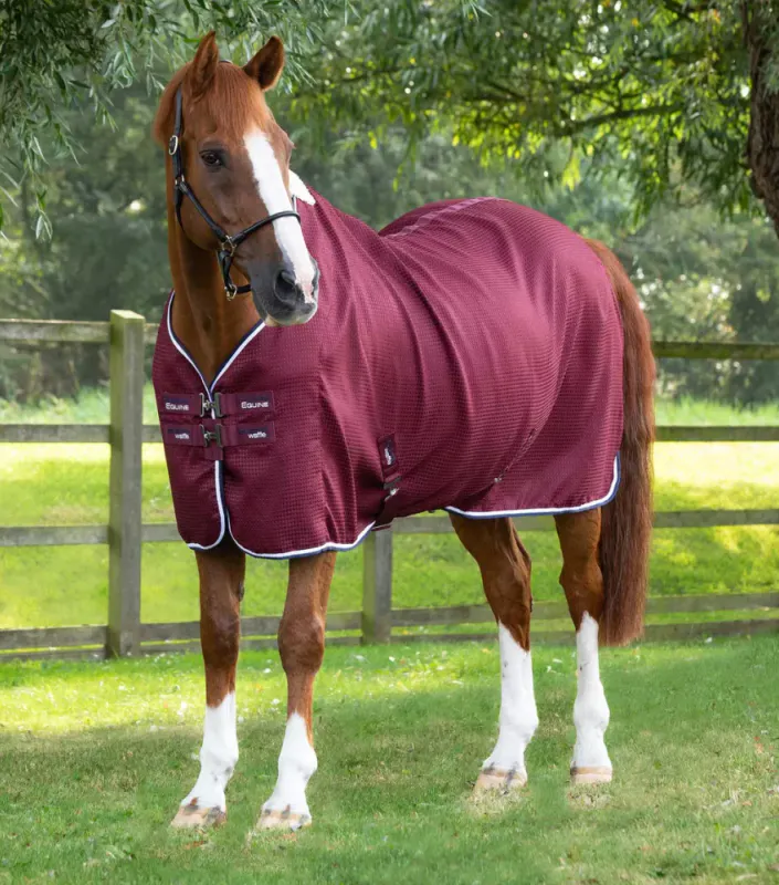 Premier Equine Airflow Cooler