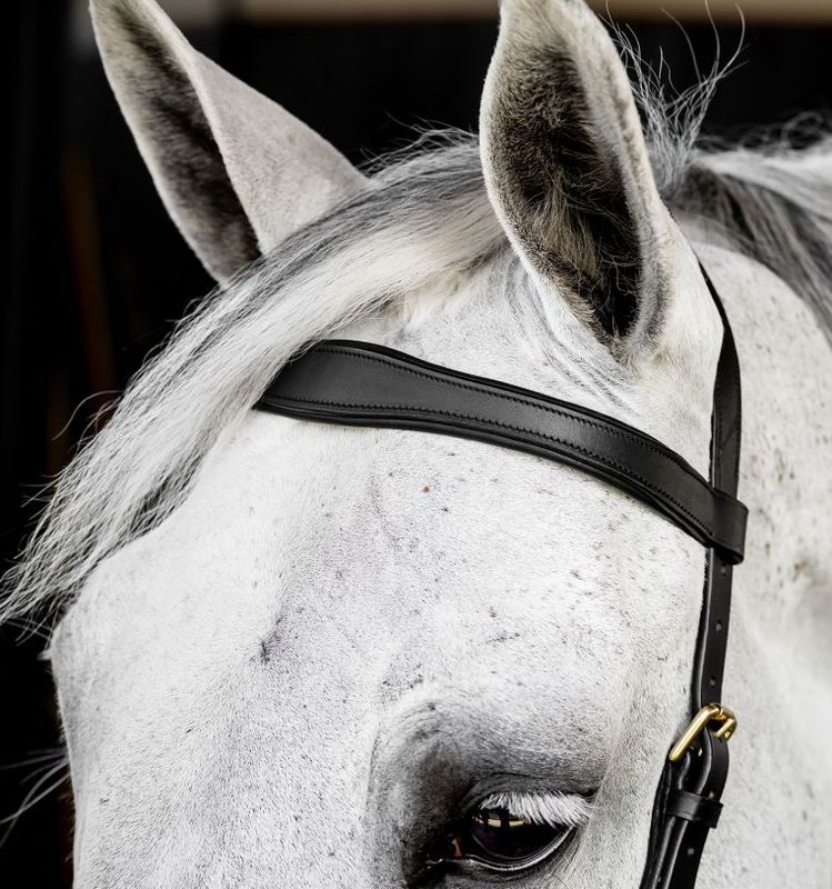  Horseware Rambo Micklem Multibridle