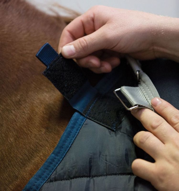 Horseware Liner 300 Gram