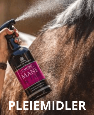pleiemidler