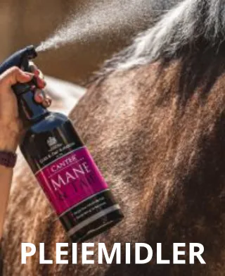 pleiemidler