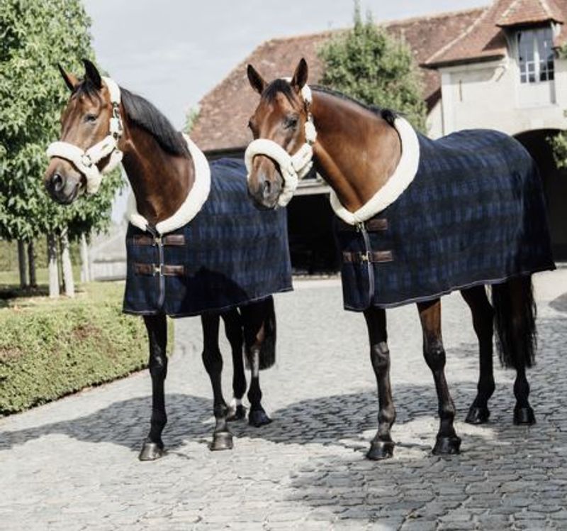 Kentucky Heavy Fleece Show Rug
