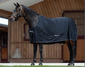 Hovedbilde Bucas Shamrock 