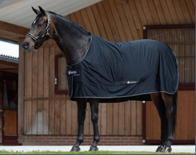 Hovedbilde Bucas Shamrock 