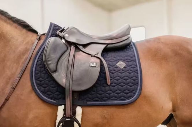 Hovedbilde Kentucky Saddle Pad Glitter Rope