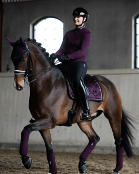 Hovedbilde Equestrian Stockholm, Black Raven Shabrak
