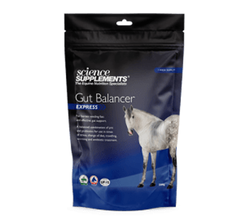 Science Supplements, Gut Balancer Express, 588 Gram 